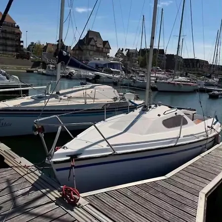 Voilier Cosy Au Port De Vue Sur Marina
